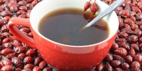 Uvarak, infuzija divlje ruže: koristi i štete, recept, kako piti